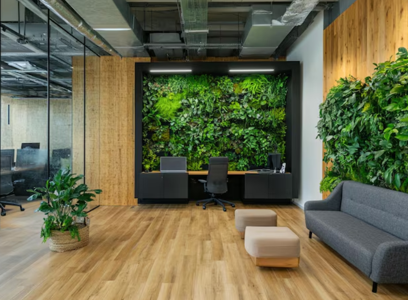 Wie Pflanzenwände innen Ihr Büro moderner und einladender gestalten